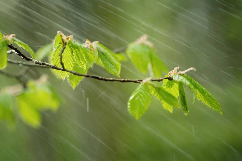 西班牙乙组联赛_明天我市有雷雨天气西班牙乙组联赛，部分地区中雨，午后阵风风力大