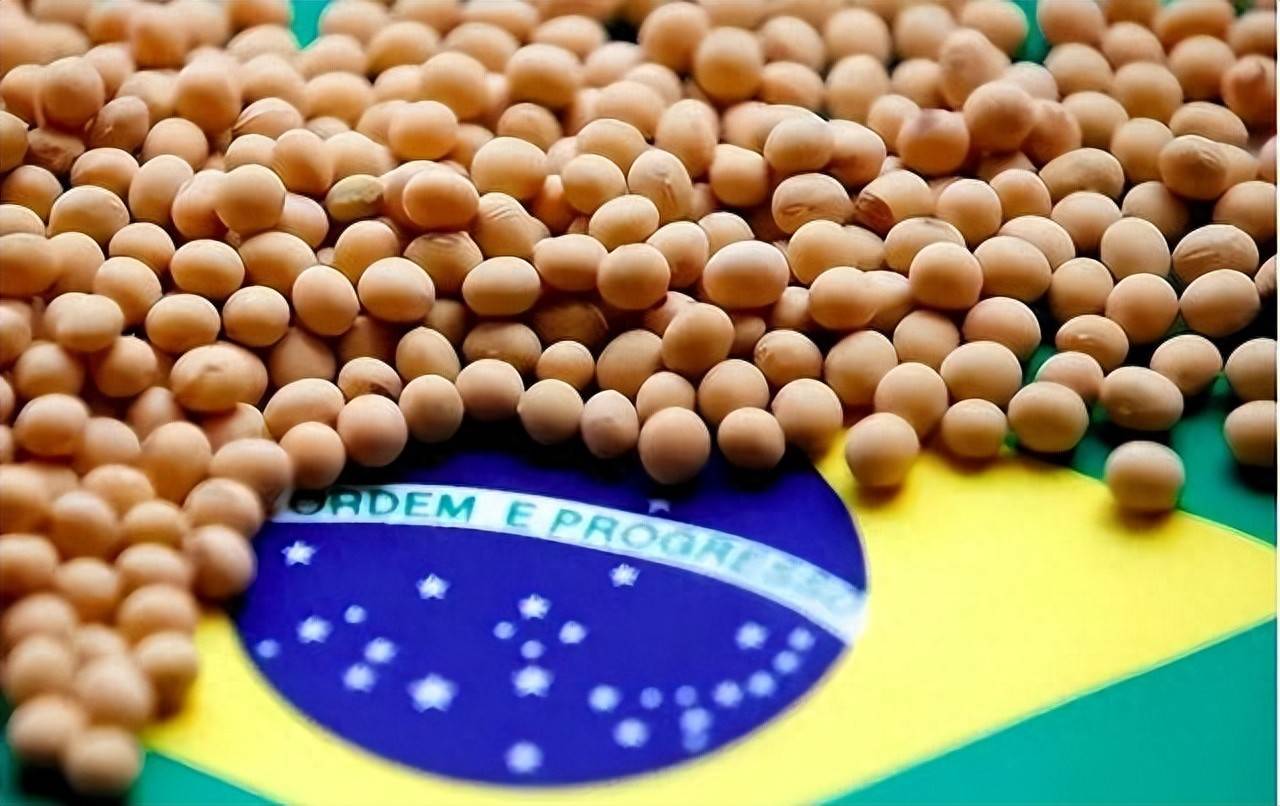 皇冠信用网代理平台_200万吨大豆烂港！巴西主动降价皇冠信用网代理平台，中国转头下单三船美国大豆，巴西自食其果了