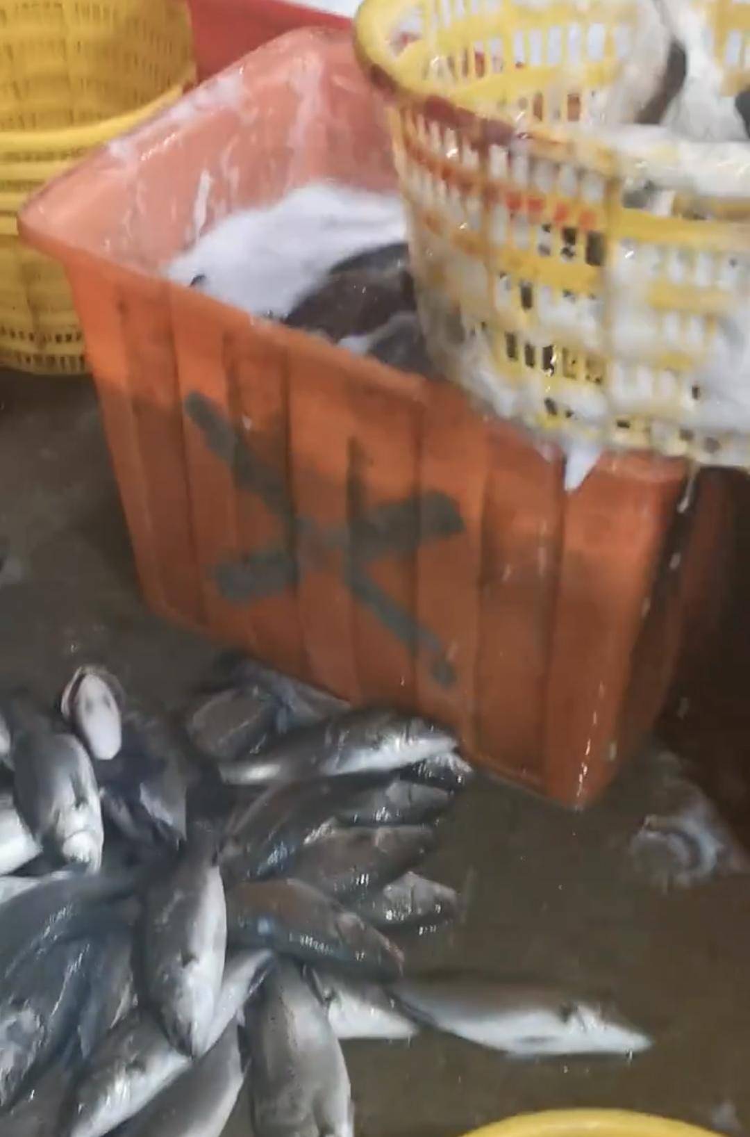 皇冠信用網开号_水产市场“麻醉鱼”调查：有商家称麻药有味会换水再卖皇冠信用網开号，有无危害尚不明，出台监管措施尚缺理论依据