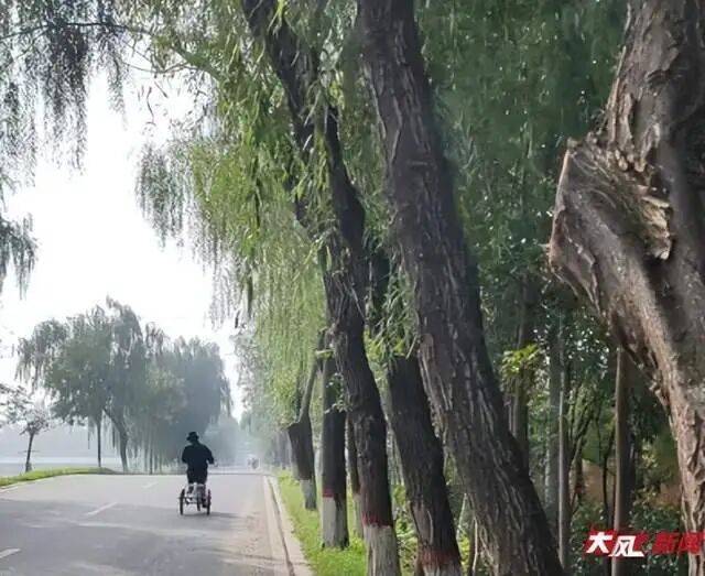 皇冠信用網网址
_陕西兴平56岁女教师骑电动车“撞树枝”身亡皇冠信用網网址
，交警判定担主责，家属提出诸多质疑，多方回应