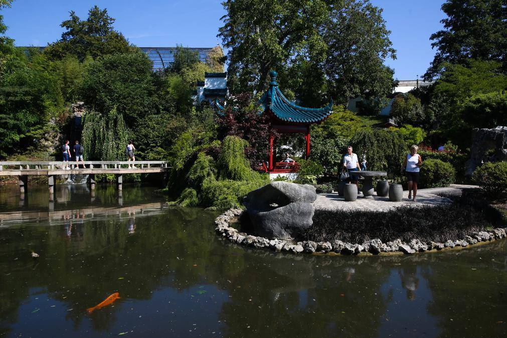 如何代理皇冠信用网
_旅比大熊猫“守护者”埃里克·董博：打开感知中国之门