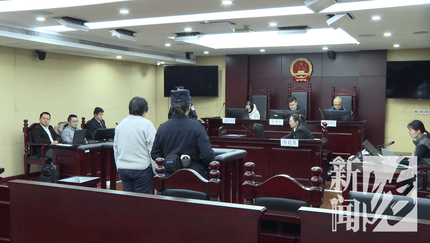 皇冠2登录welcome_上海一女子掏空公司3500万!养了上百只猫皇冠2登录welcome,还痴迷于“云祭祀”……