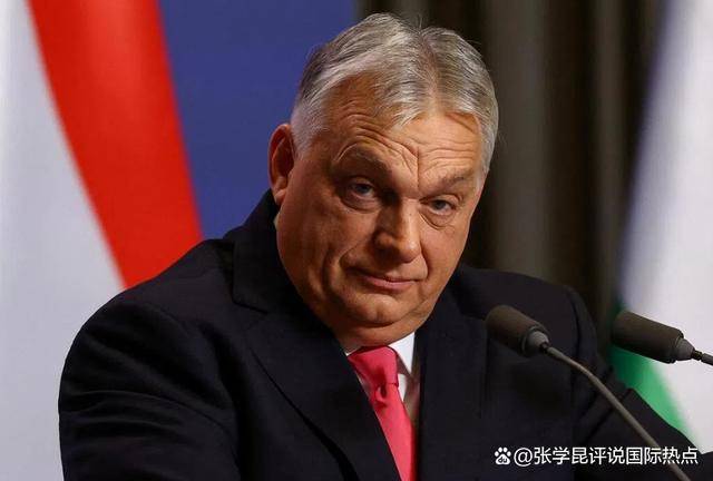 皇冠信用网登2_猪队友一句话皇冠信用网登2，百万票仓失守，中国在欧洲最可靠的支点，这回玩完