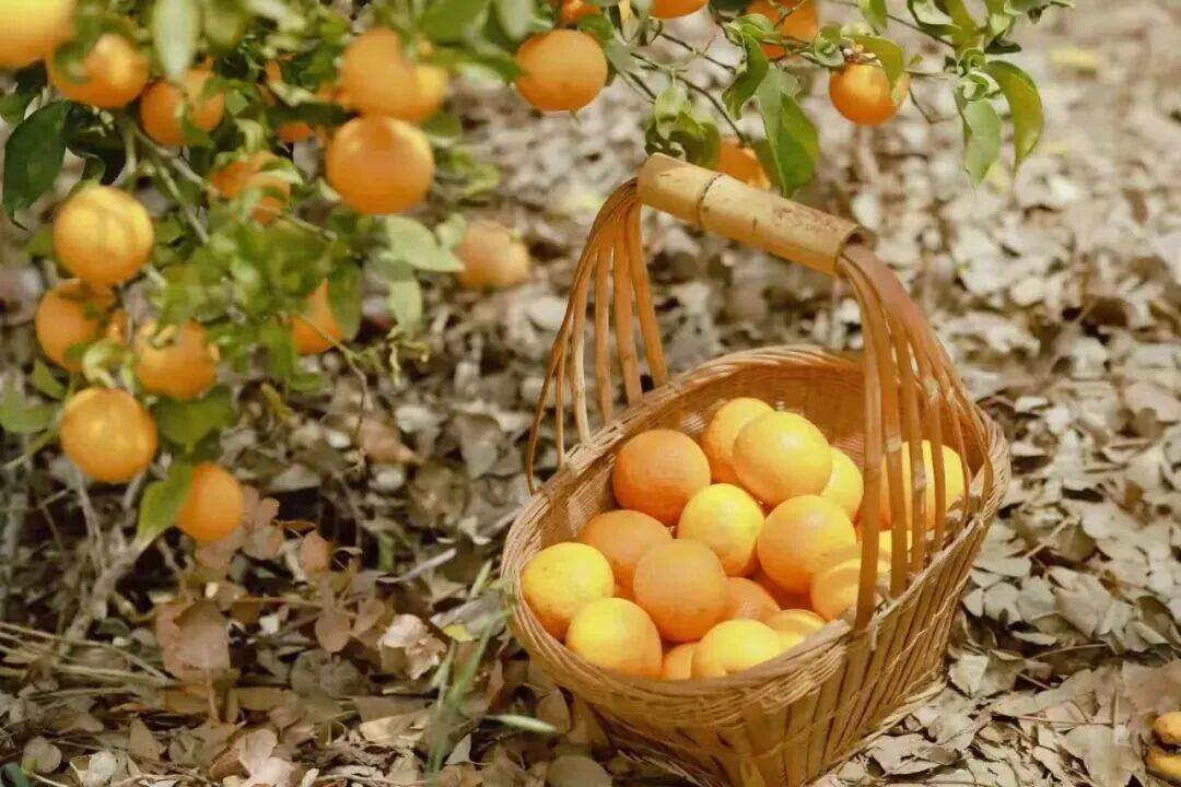 皇冠信用网在线开户_昆明一公园长期大门紧锁!有市民称已关闭6年皇冠信用网在线开户,管理方回应丨早读新闻4.8