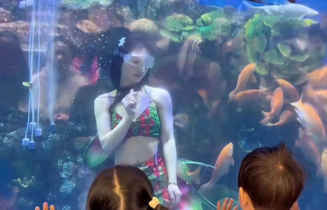 皇冠代理登3_河南一超市内竟有美人鱼表演皇冠代理登3，店家：演员系超市员工，平时上班，节假日兼职表演