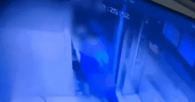 2026世界杯冠軍_监控曝光！女童走出电梯时﻿2026世界杯冠軍，突然被身后陌生男孩捂口鼻勒住，“像小鸡仔一样拎走”，派出所已介入调查