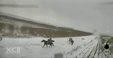 皇冠信用网代理注册_阵亡79人皇冠信用网代理注册，歼敌50000！乌军某旅公布超高交换比，俄军几乎被单方面屠杀？