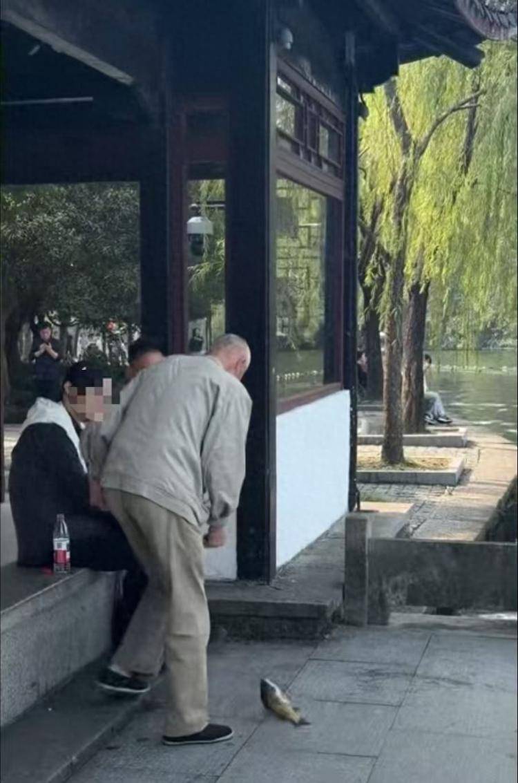 竞彩篮球nba分析预测_老人在西湖边钓鱼后带走竞彩篮球nba分析预测,景区回应:属于偷钓,将加强日常巡查